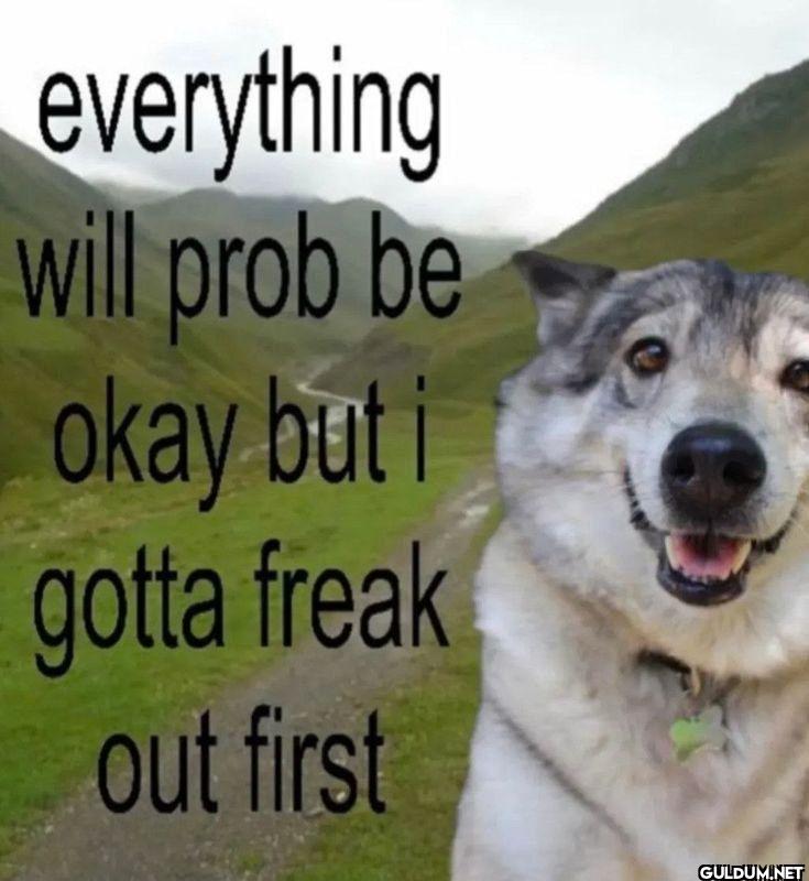 everything will prob be...
