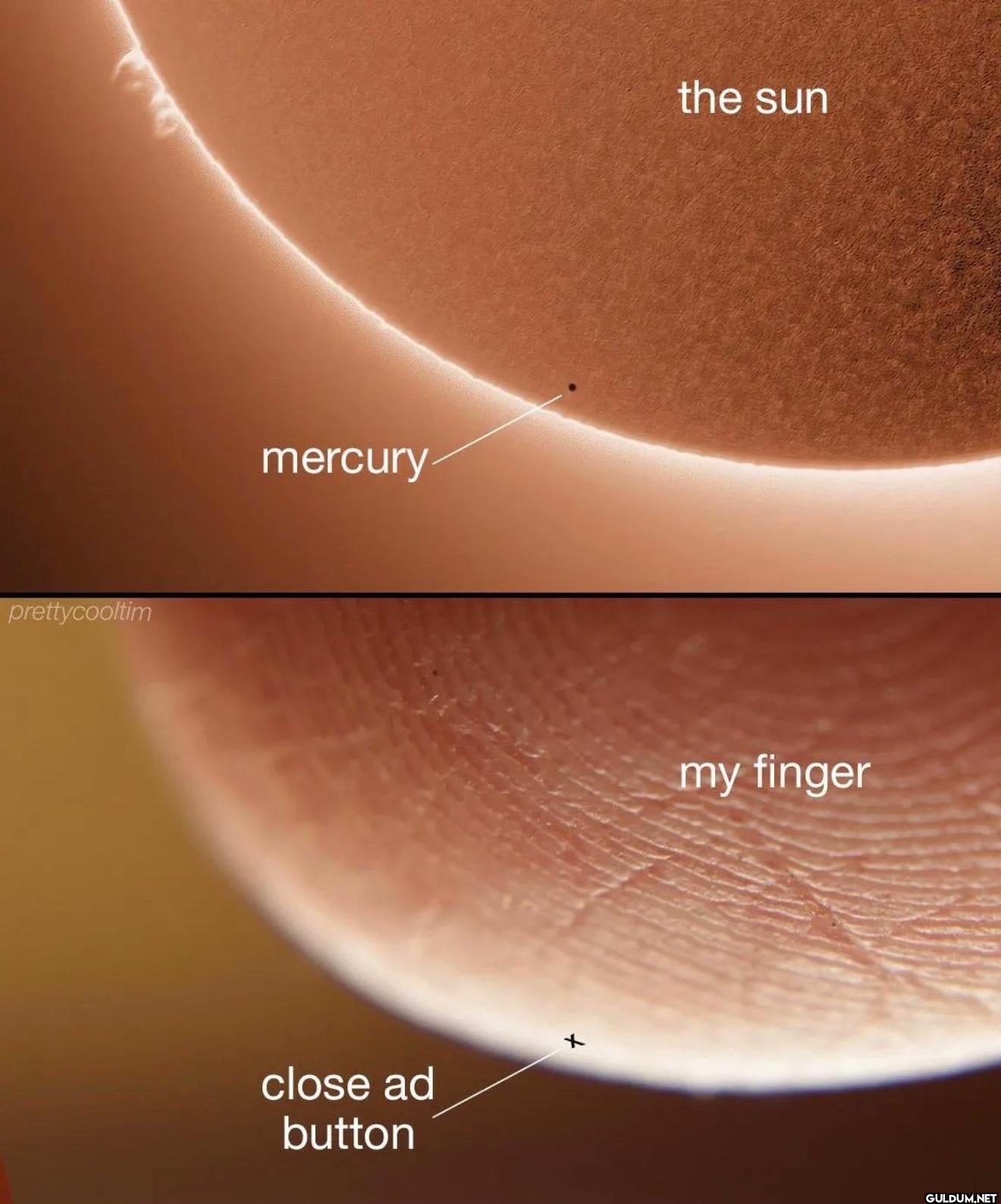 prettycooltim mercury...