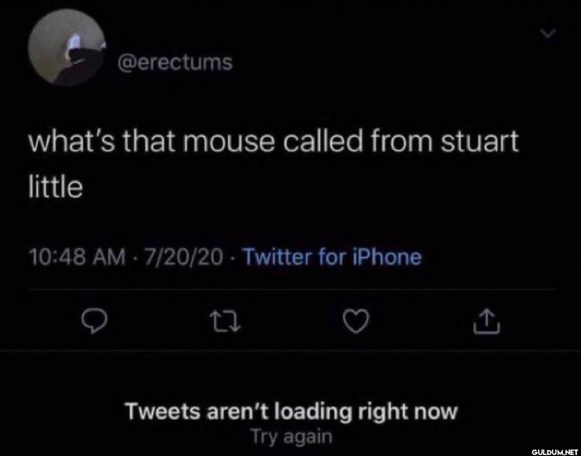 what's that mouse called...