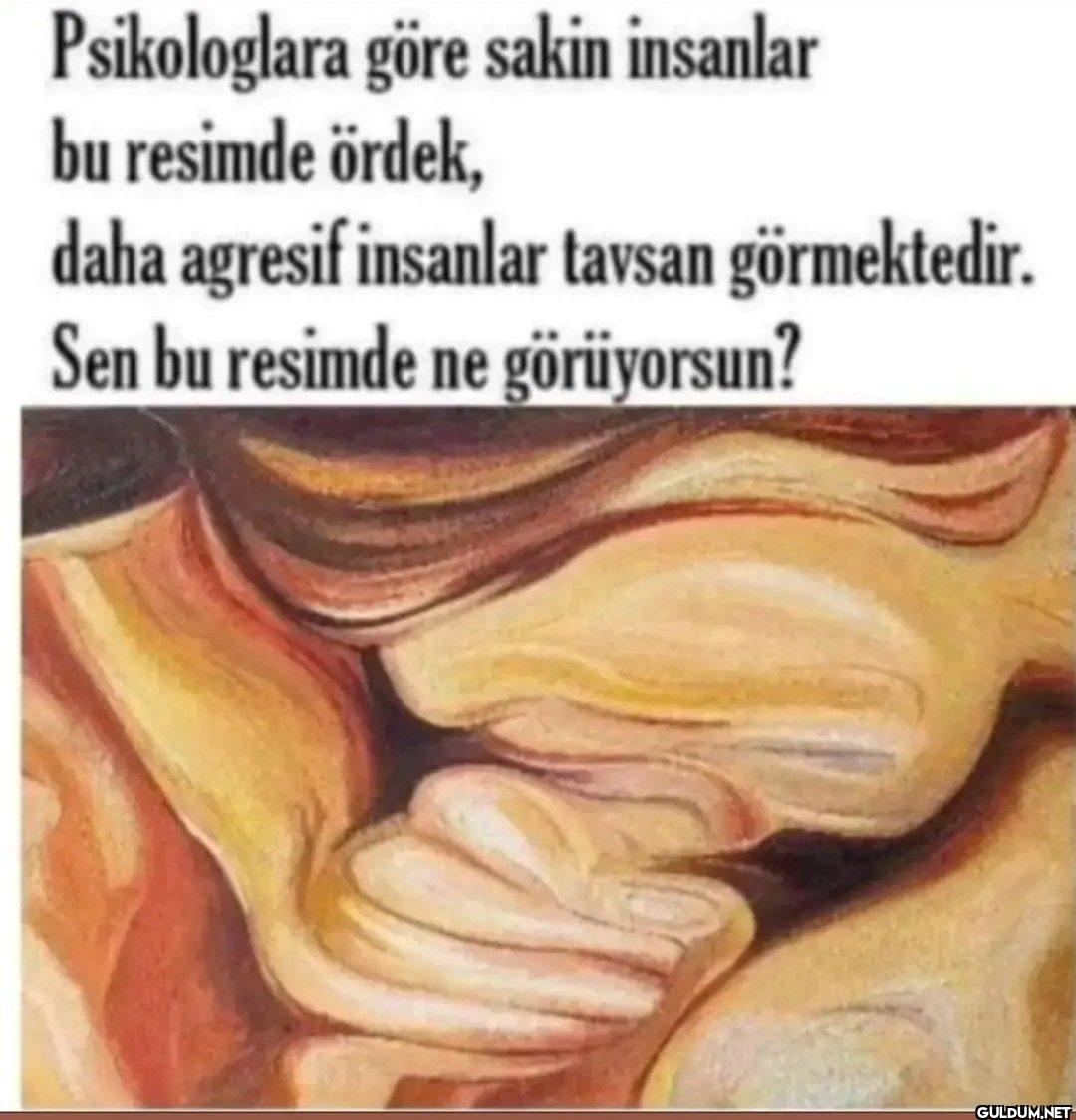 Sen ne görüyorsun?   ...