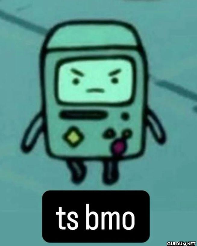 ts bmo