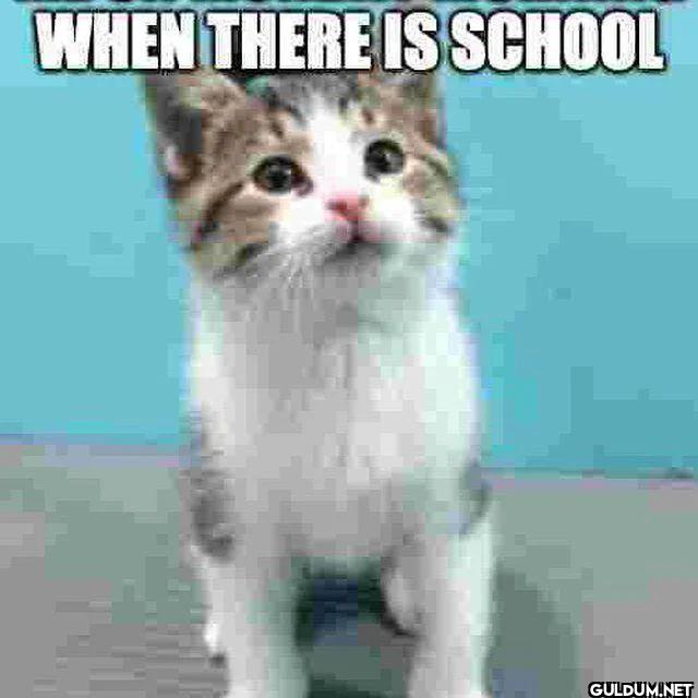 WHEN THERE IS SCHOOL