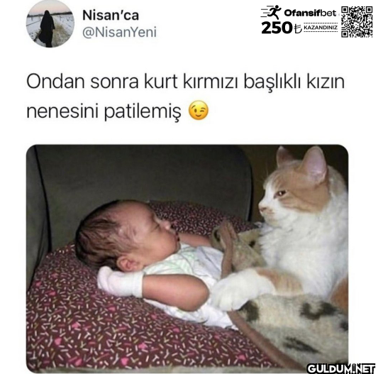 Ofansifbet 250€ KAZANDINIZ...