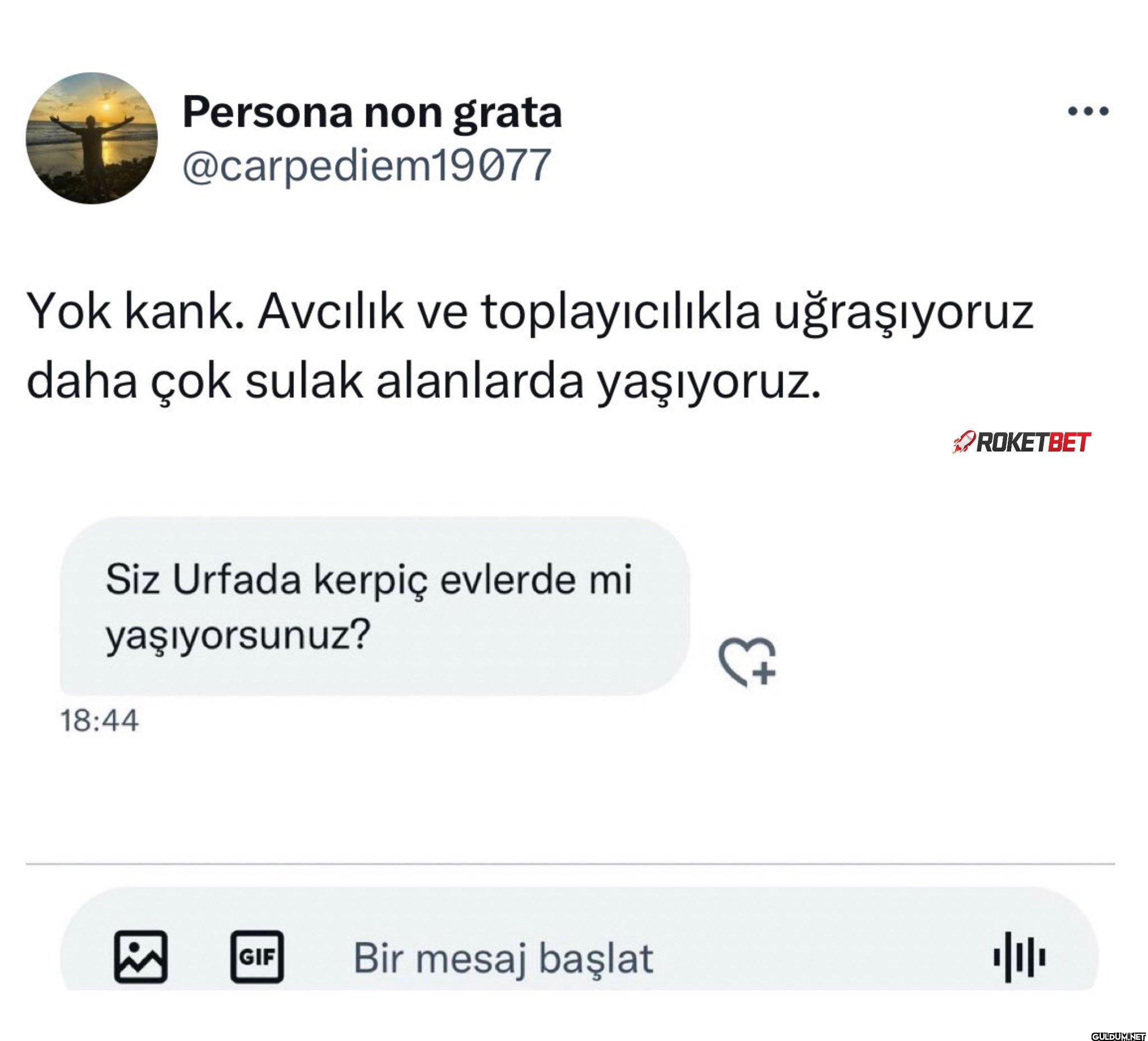 Yok kank. Avcılık ve...