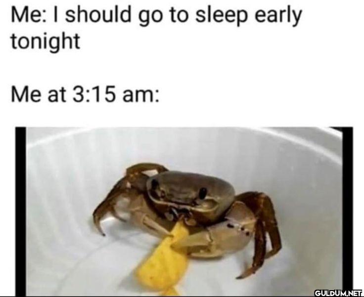 ︎ ︎ ︎ ︎    Me: I should go...