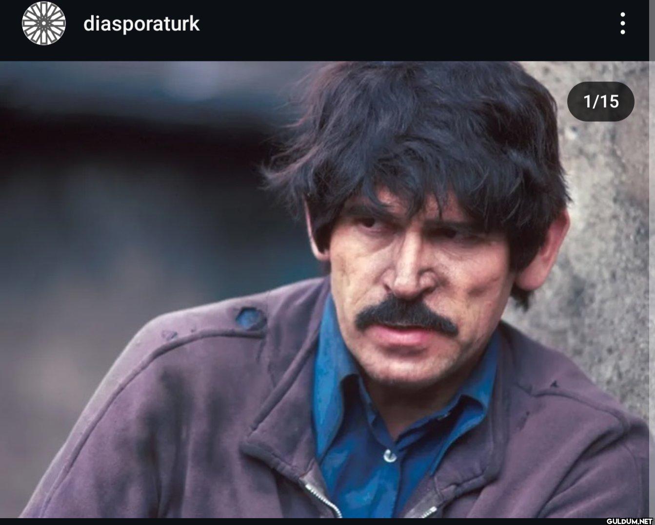 diasporaturk 1/15 ...