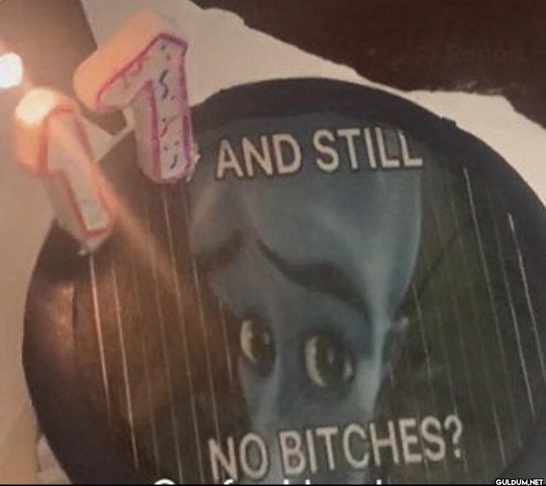 AND STILL Report NO BITCHES?