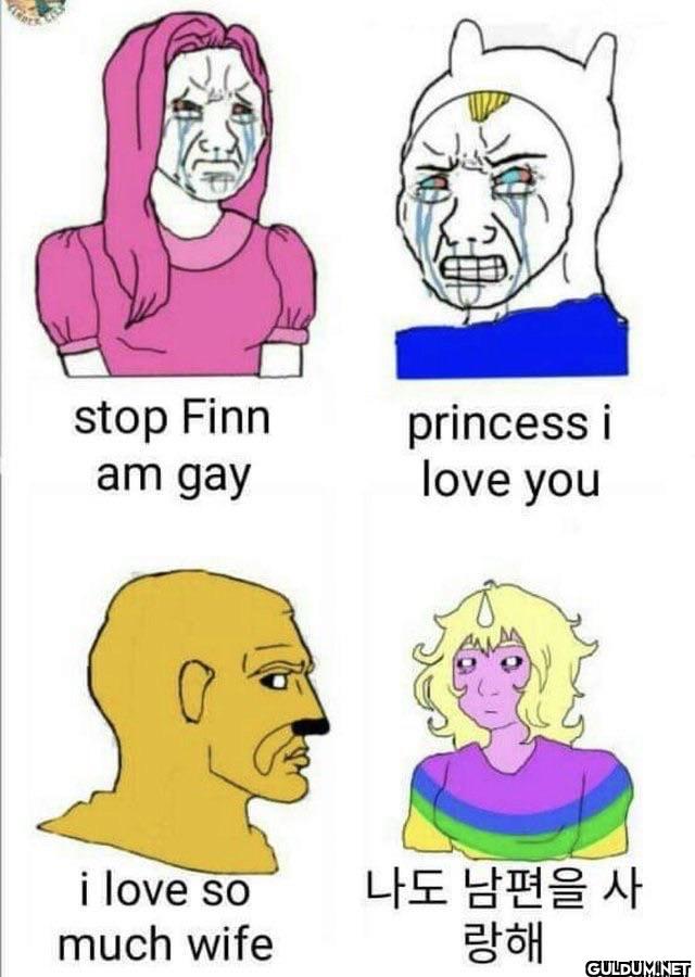 stop Finn am gay princess...