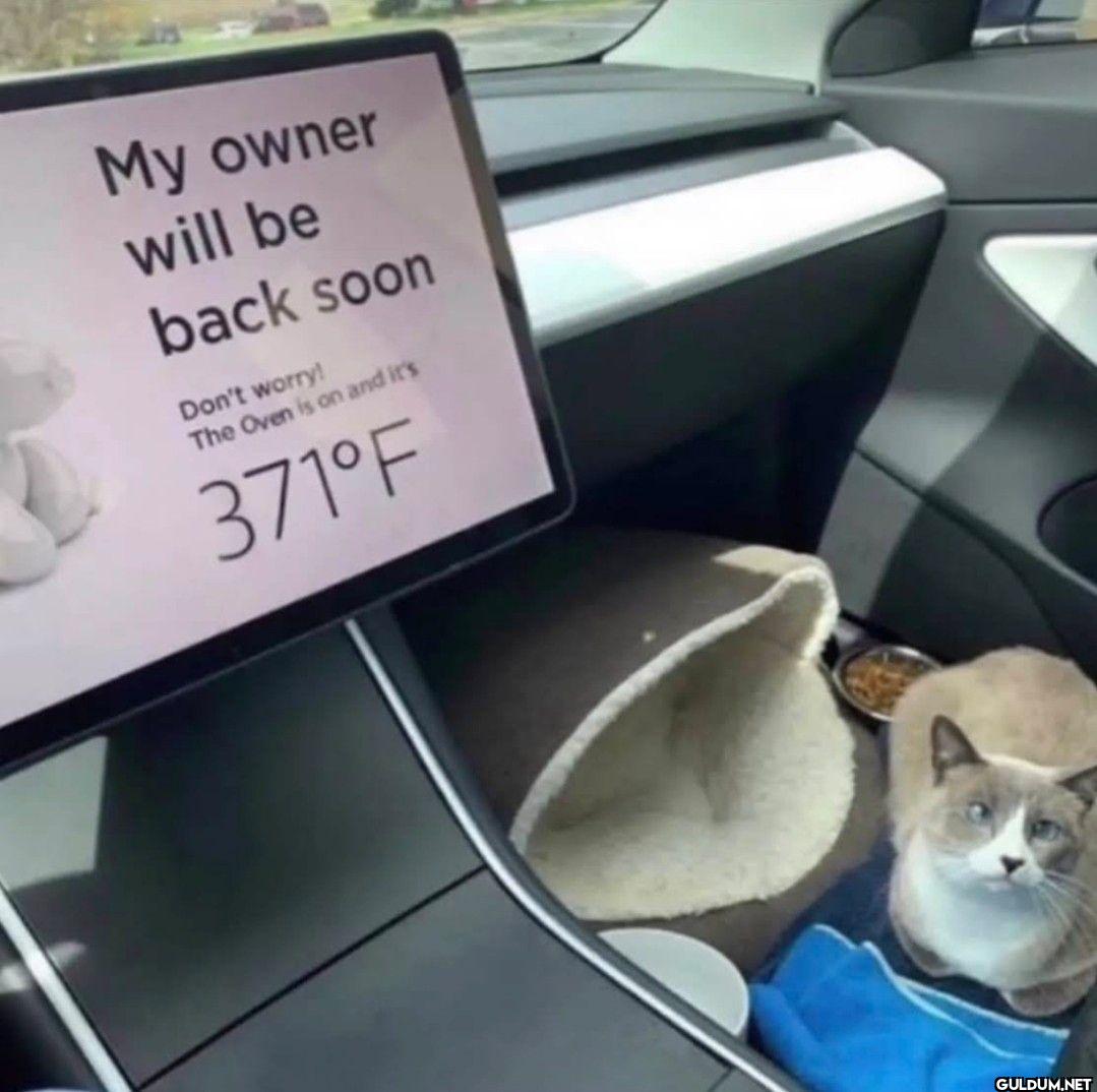 My owner will be back soon...