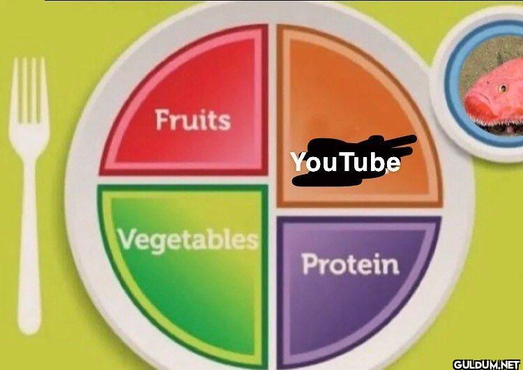 Fruits YouTube Vegetables Protein