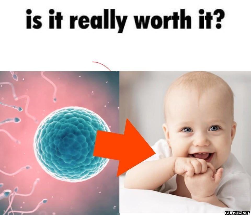 is it really worth it?
