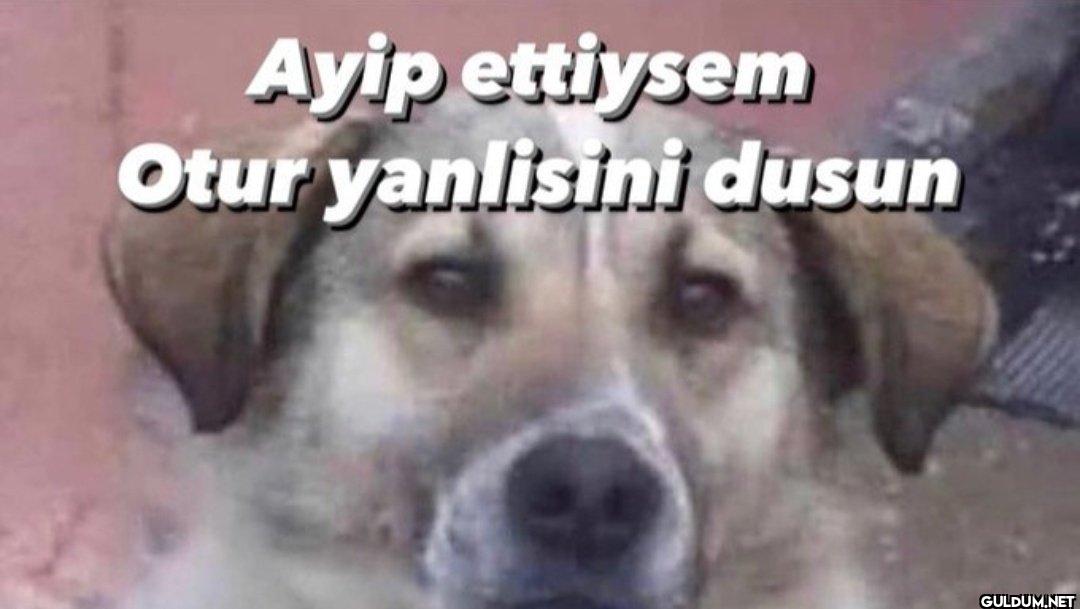Ayip ettiysem Otur yanlisini dusun