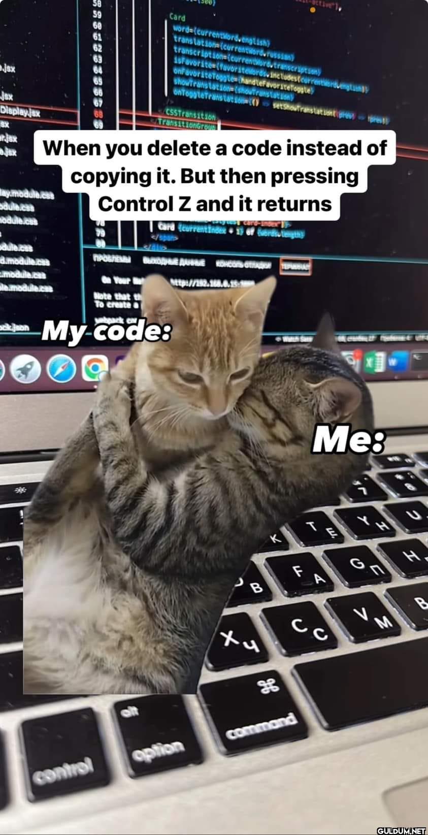 meAndMyCode...