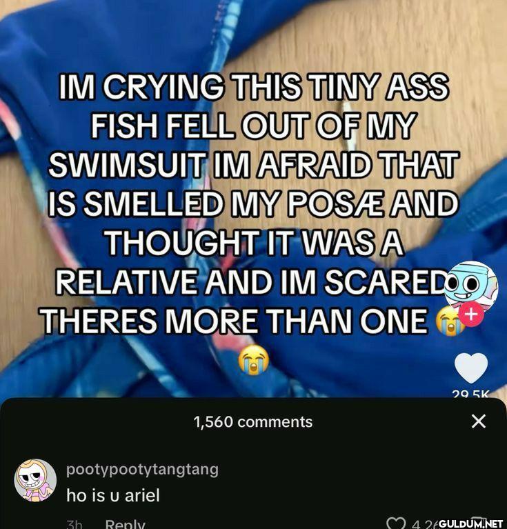 IM CRYING THIS TINY ASS...
