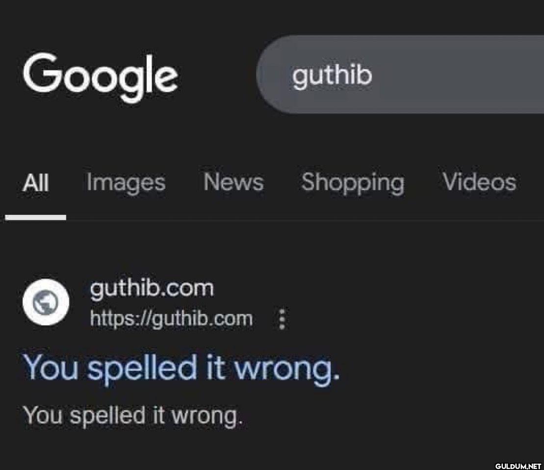 Google guthib All Images...