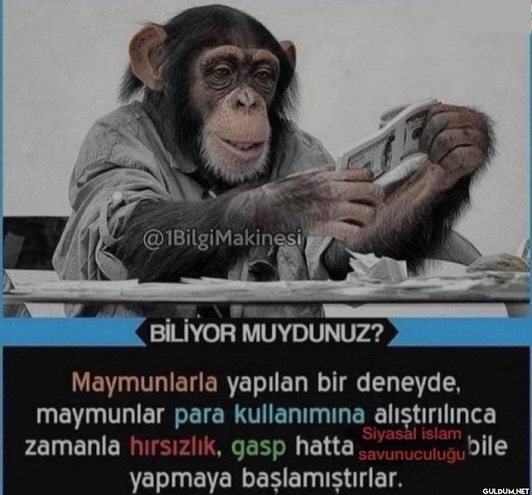 BİLİYOR MUYDUNUZ?...