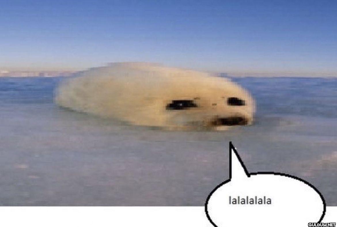 lalalalala