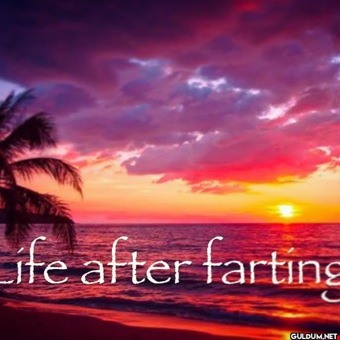 life after farting