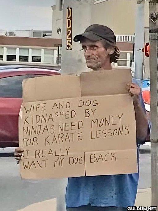 We must get his dog back. ...