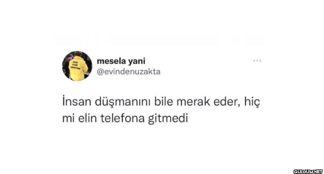 İnsan düşmanını bile merak...