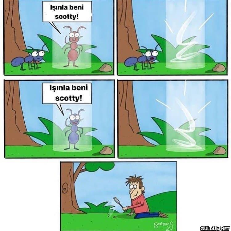 Işınla beni scotty! Işınla...