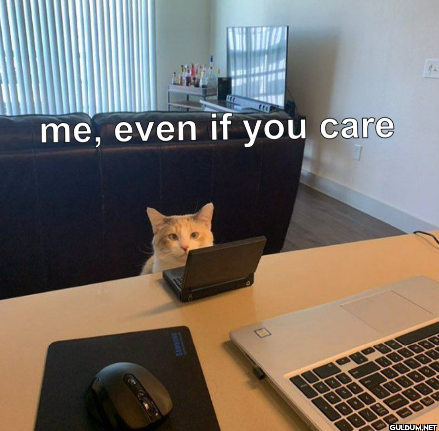 me, even if you care SNSWYS 9