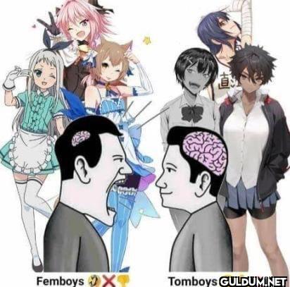 Femboys X Tomboys