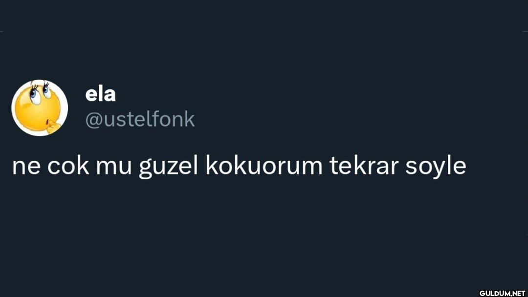 ne cok mu guzel kokuorum...