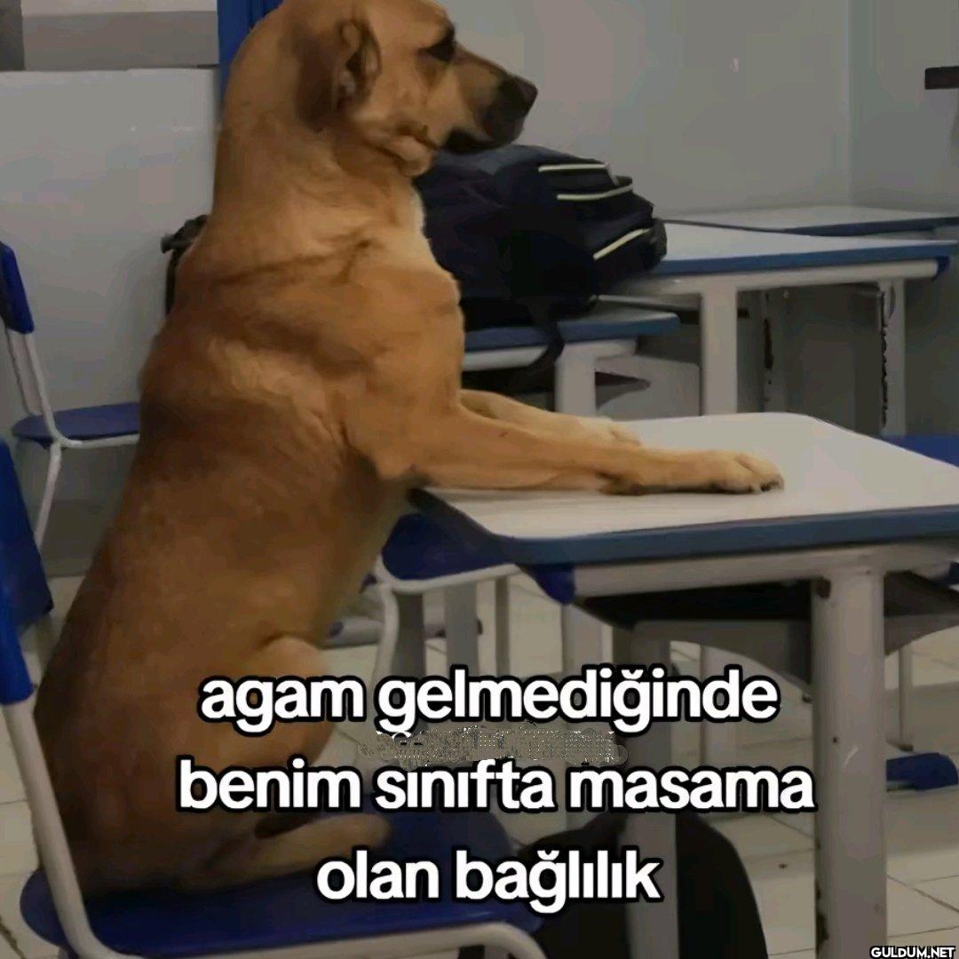 agam gelmediğinde benim...
