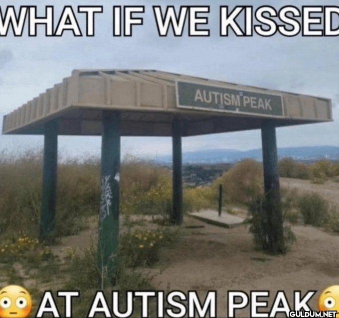 WHAT IF WE KISSED AUTISM...