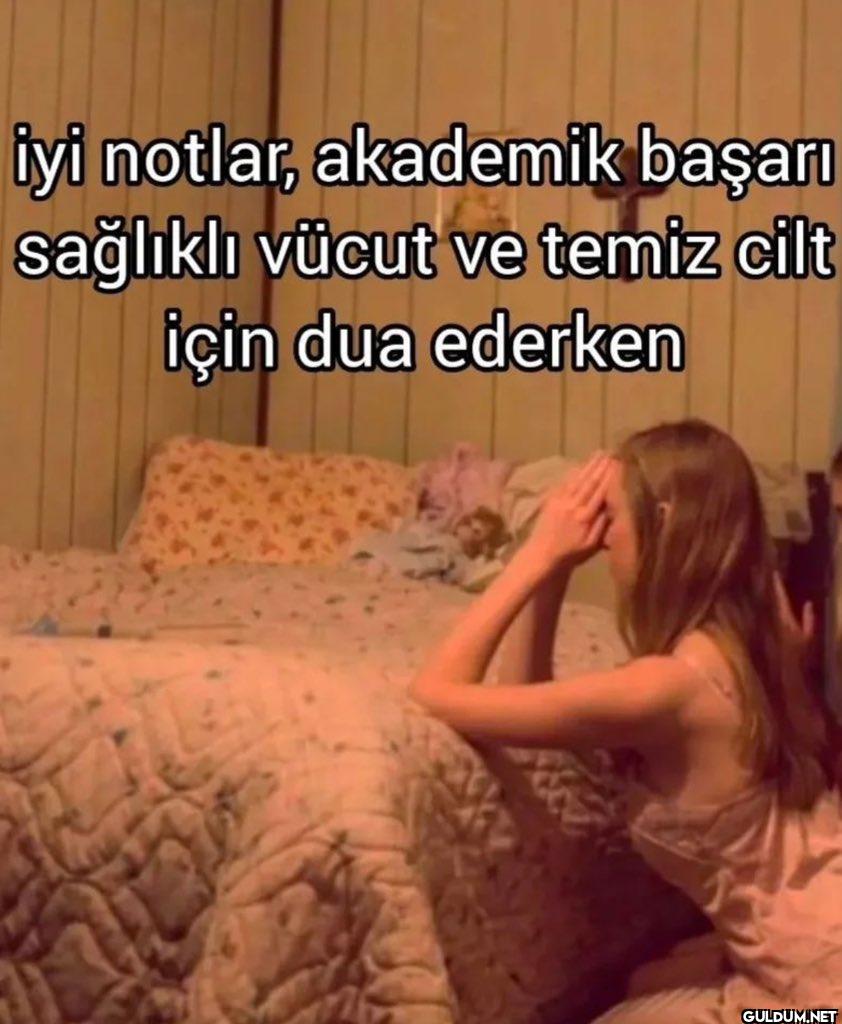 iyi notlar, akademik...