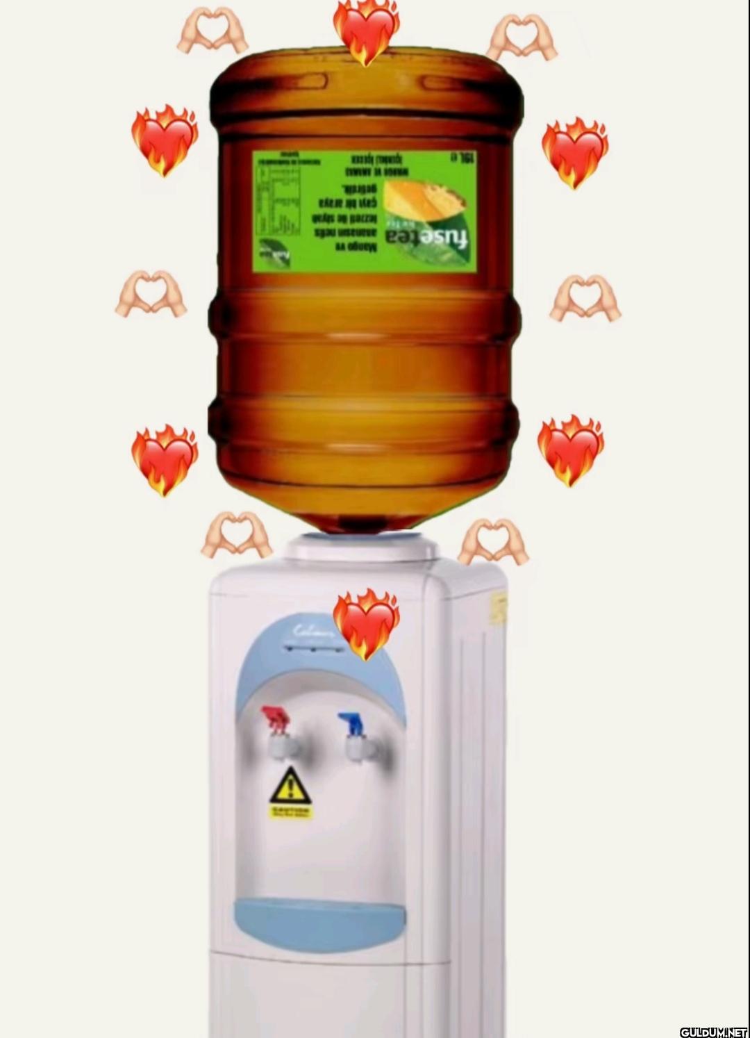 A Mango v fusetea es...