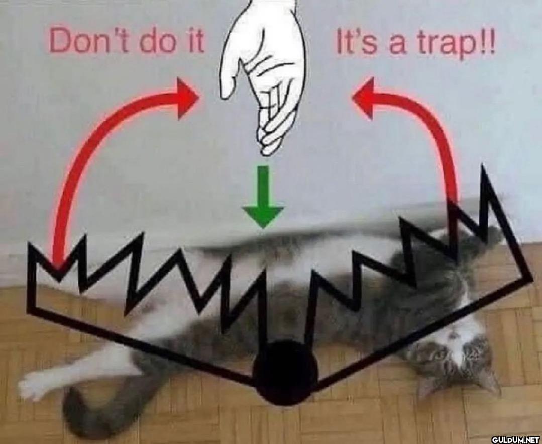 Don't do it It's a trap!! www