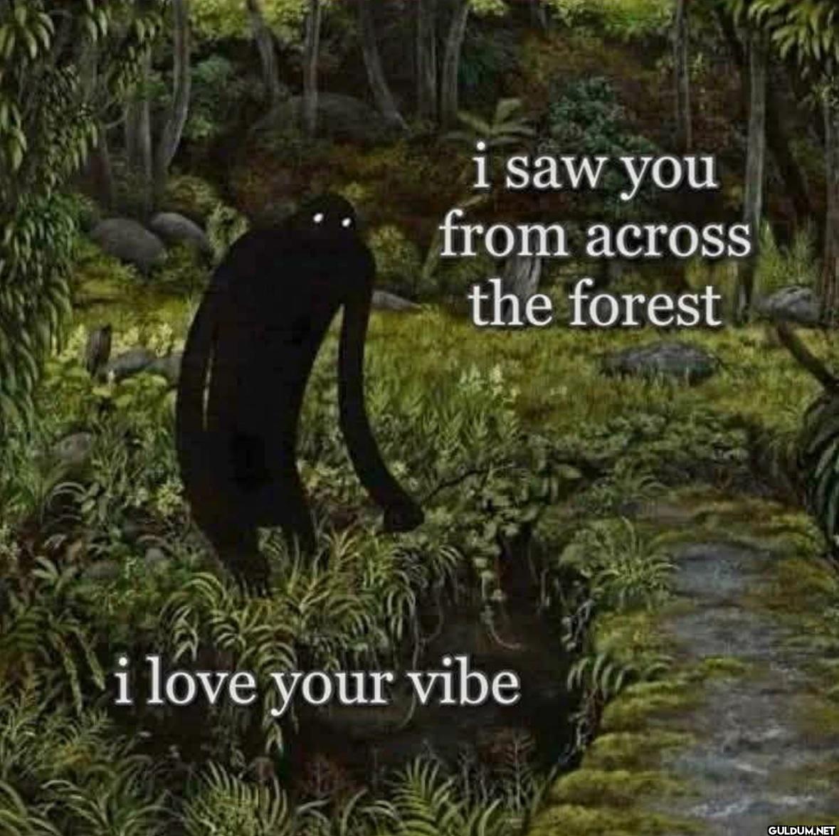 i saw you from across the...