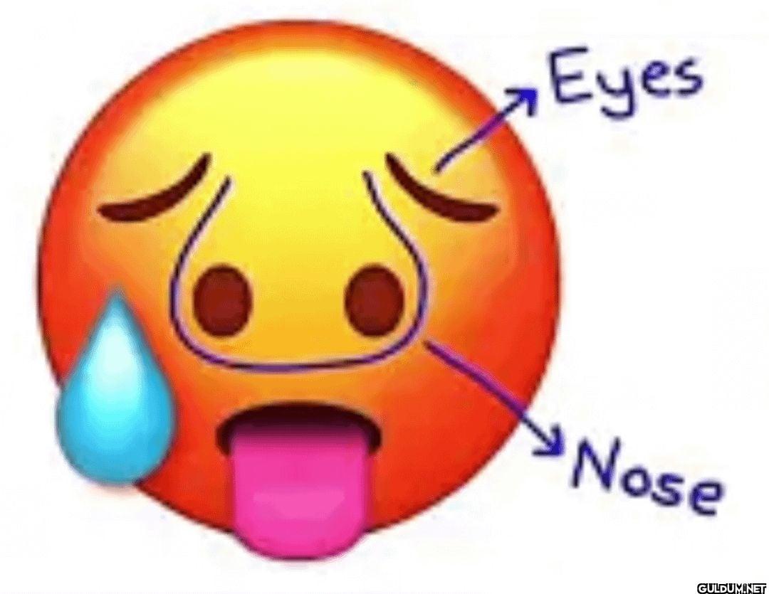 Eyes Nose
