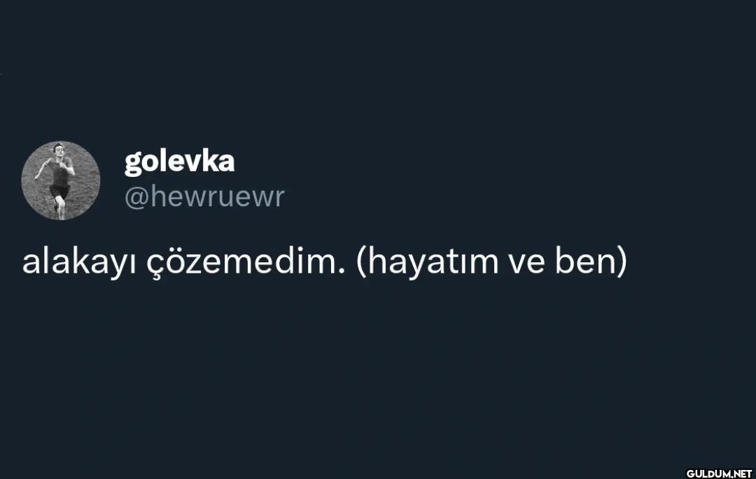 alakayı çözemedim. (hayatım ve ben)