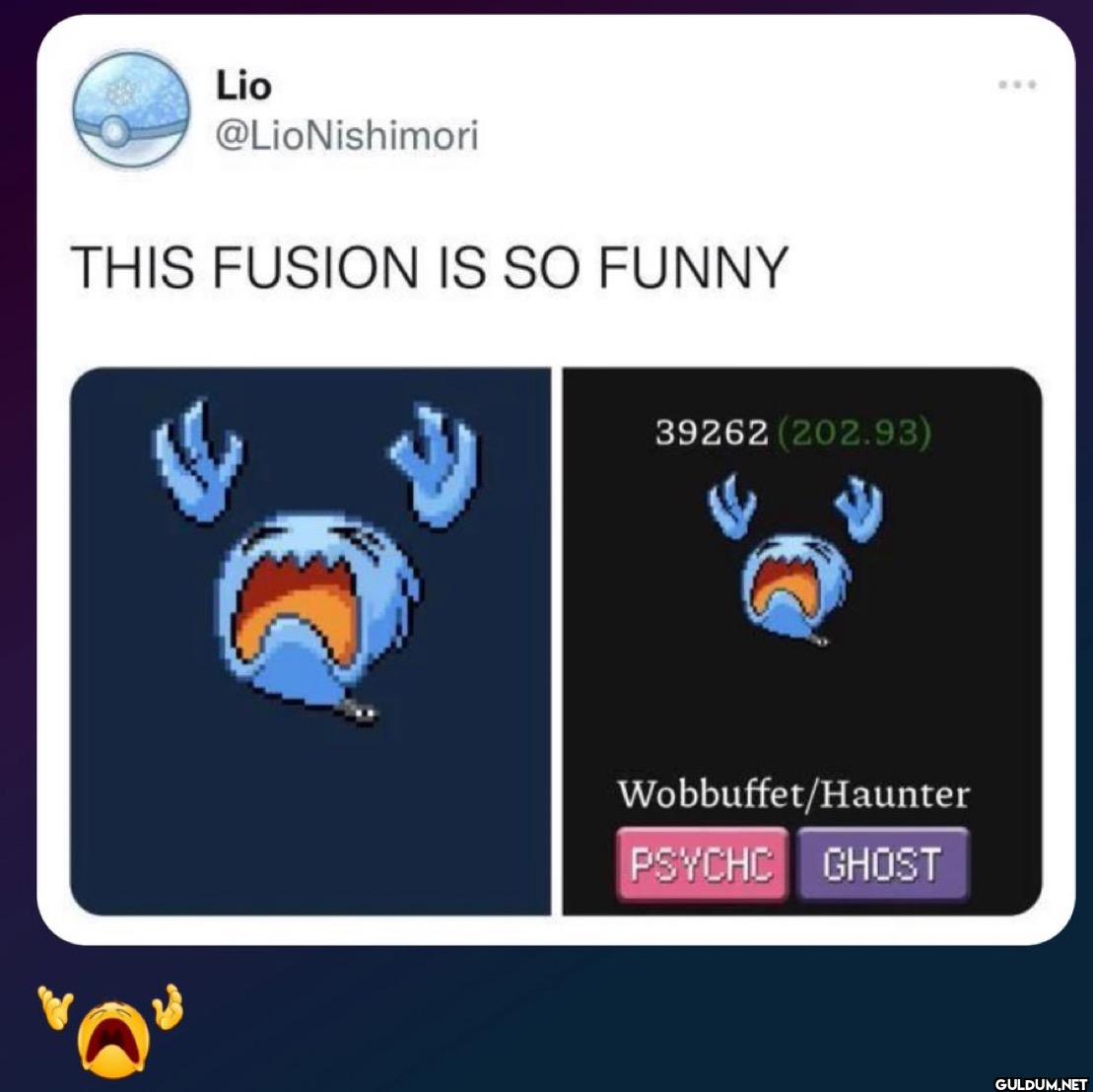 THIS FUSION IS SO FUNNY...