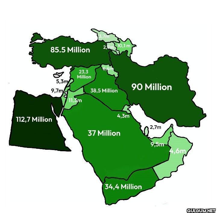 Population in the Middle...