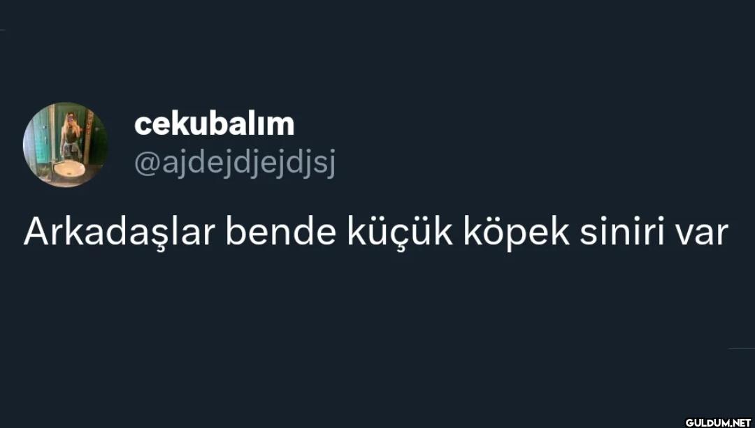 Arkadaşlar bende küçük...