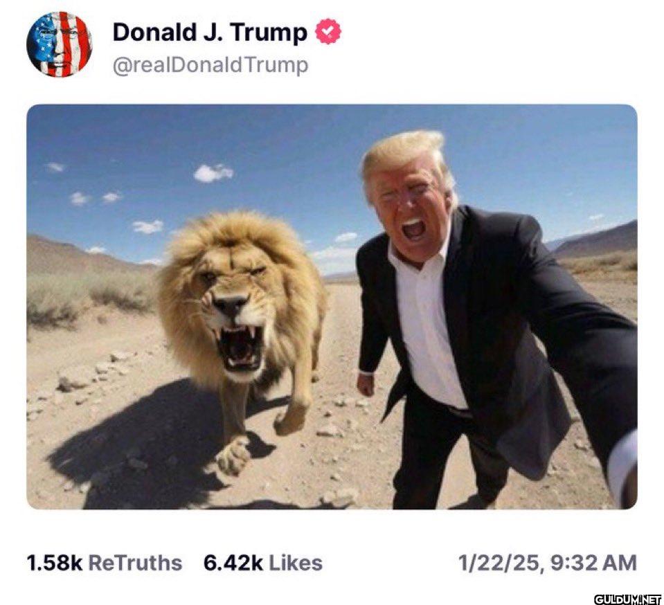 1.58k ReTruths 6.42k Likes...