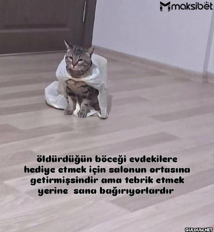 maksibët öldürdüğün böceği...