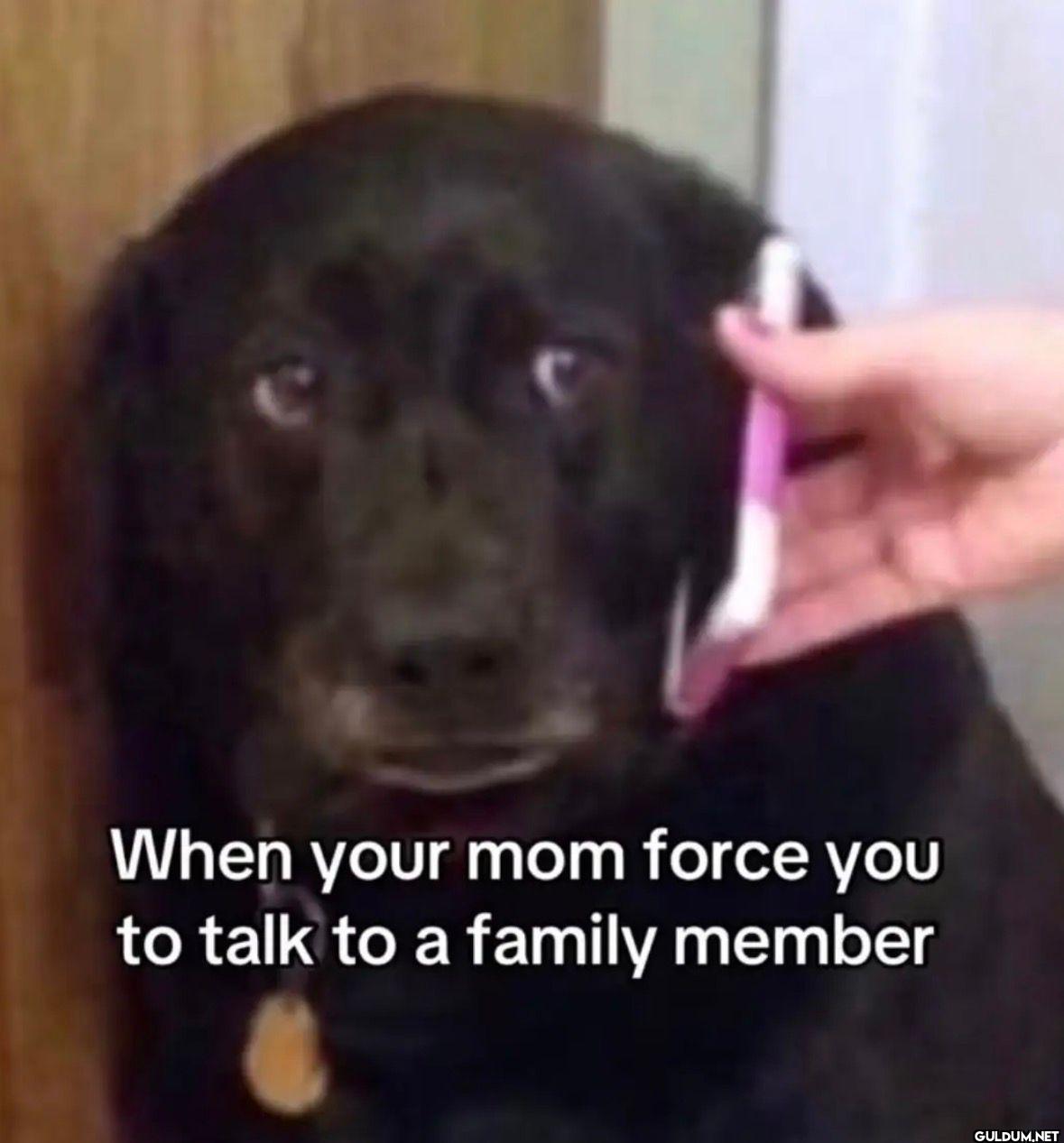 When your mom force you to...