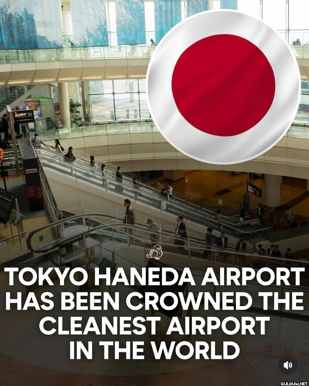 Well deserved    HANDRICA...