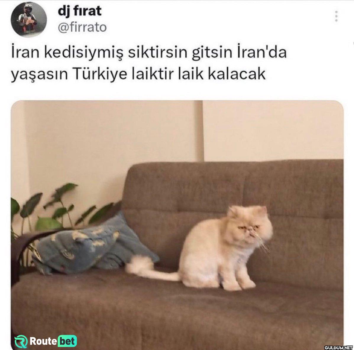 İran kedisiymiş siktirsin...