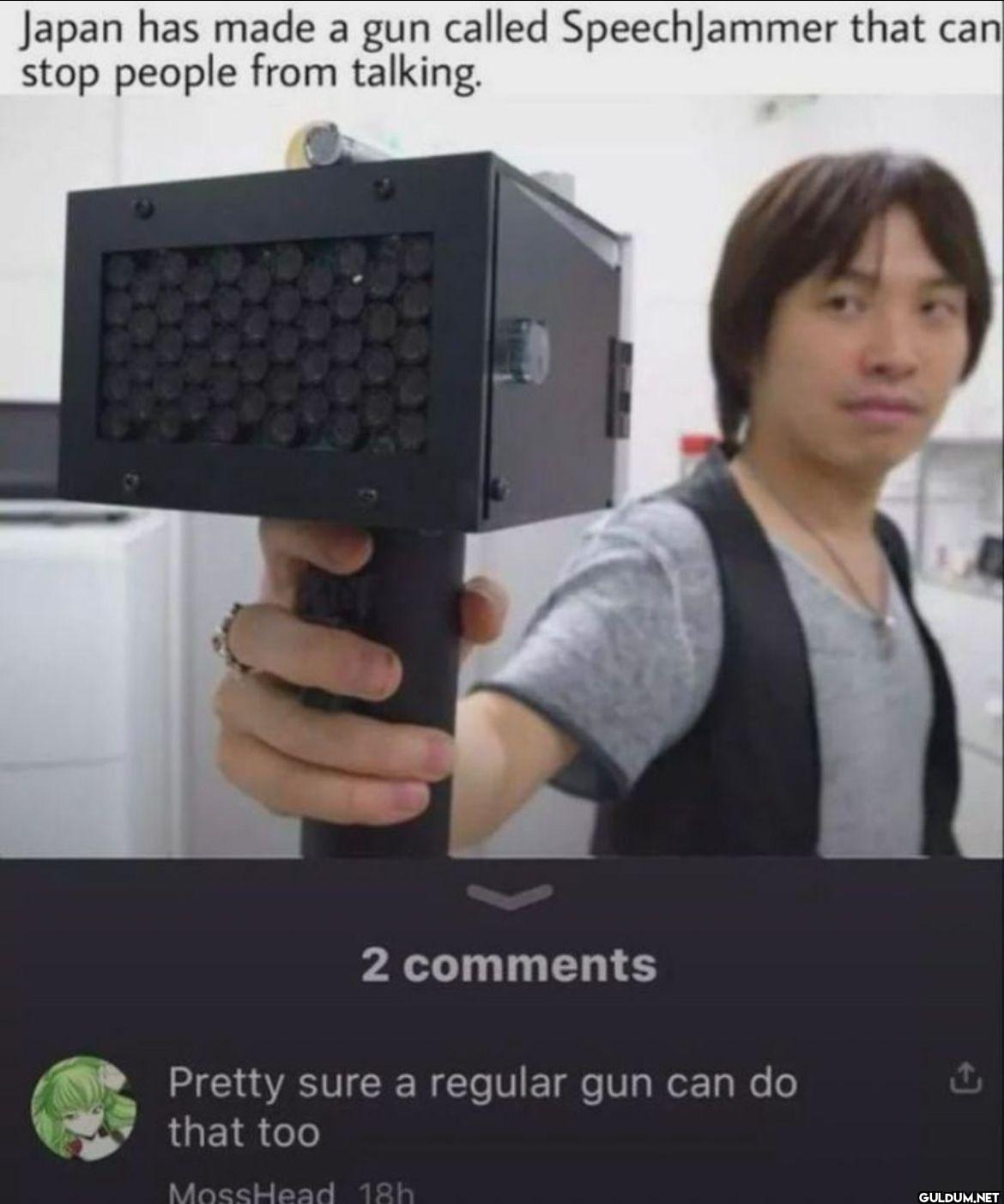 Japan has made a gun...