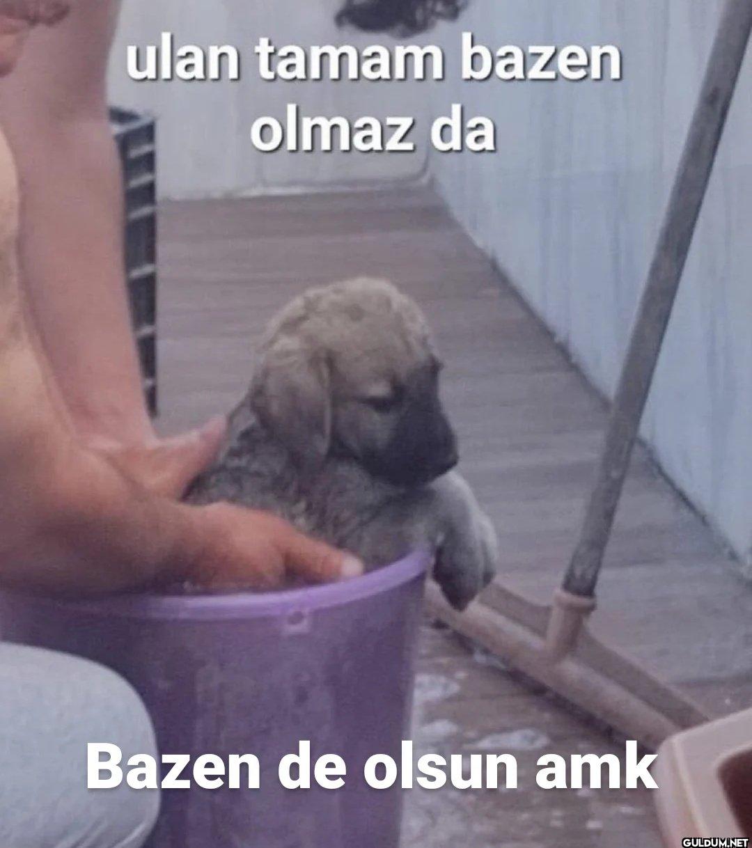 ulan tamam bazen olmaz da...