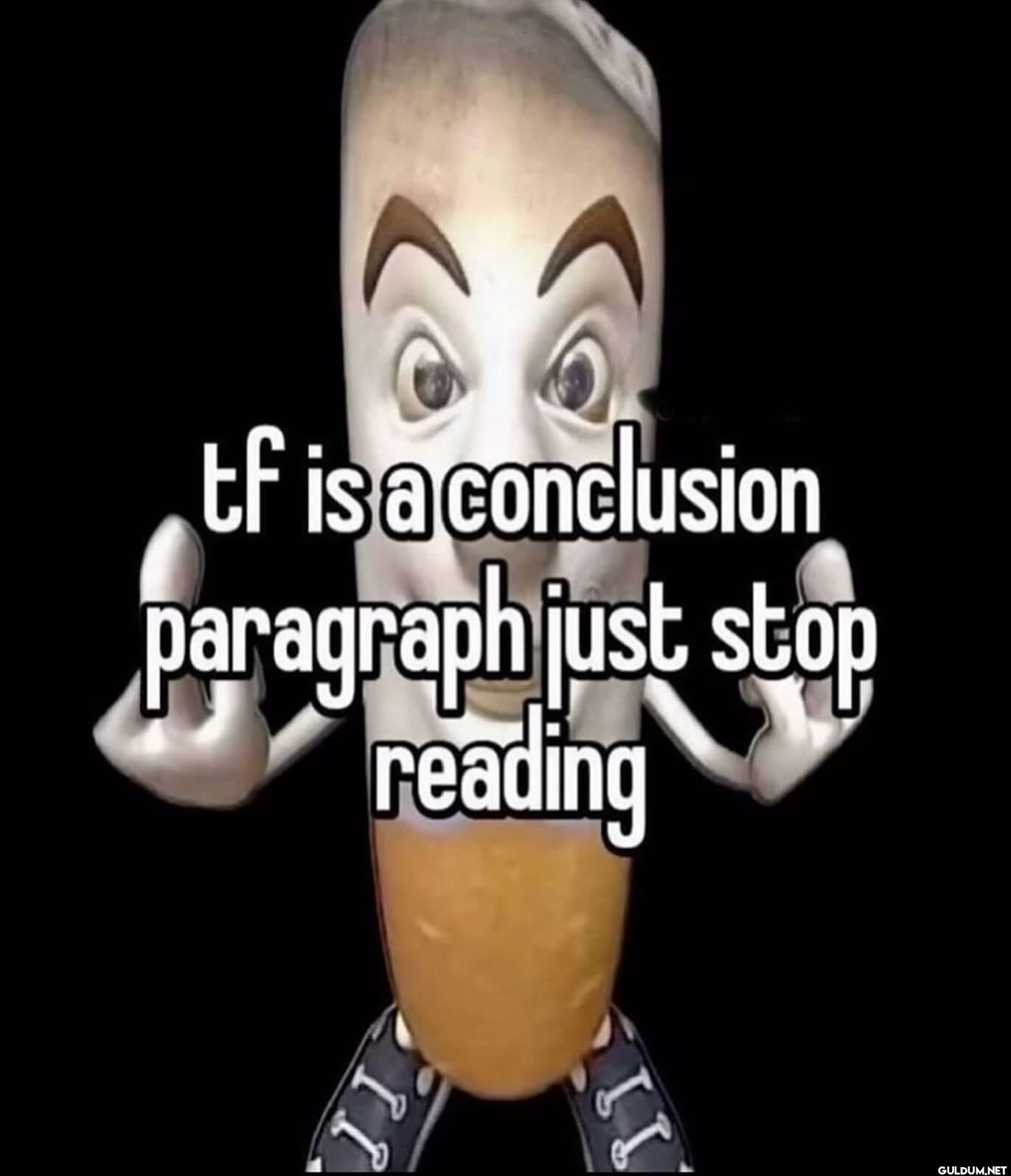 tf is a conclusion...