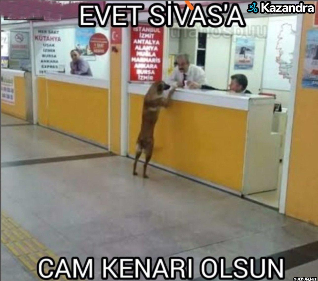 HER SAAT KÜTAHYA USAX...