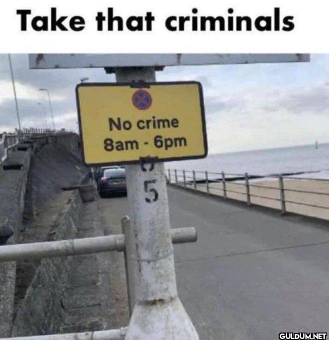 😎    Take that criminals...