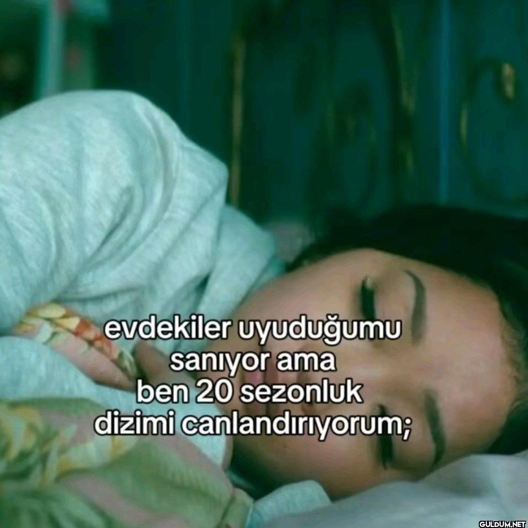 evdekiler uyuduğumu...
